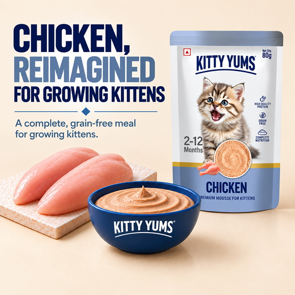 Kitty Yum Chicken Mousse Kitten Cat Wet Food