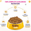Purrfeto.com Chicken and Rice Adult Cat Dry Food Cats- Dry food Purrfeto