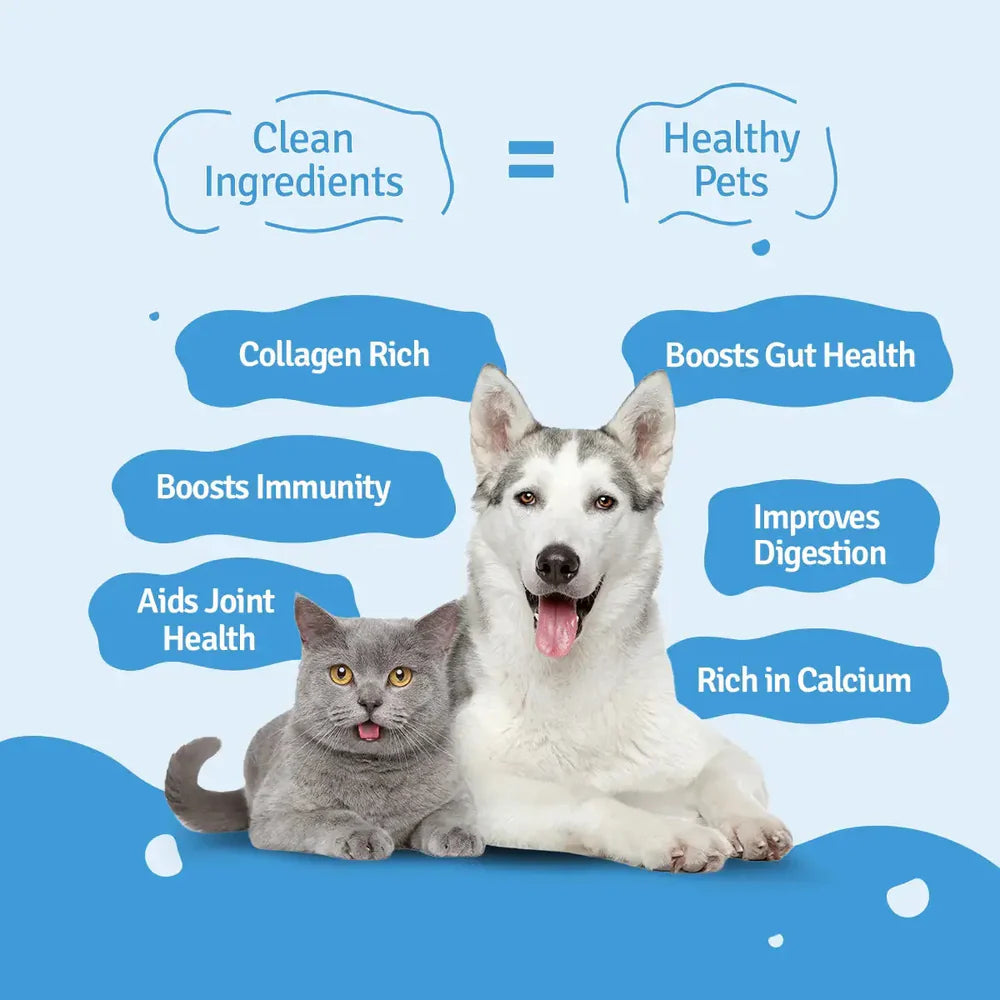 BLEP Chicken Broth for Cats and Dogs Dogs-Wet Food BLEP
