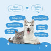 BLEP Chicken Broth for Cats and Dogs Dogs-Wet Food BLEP