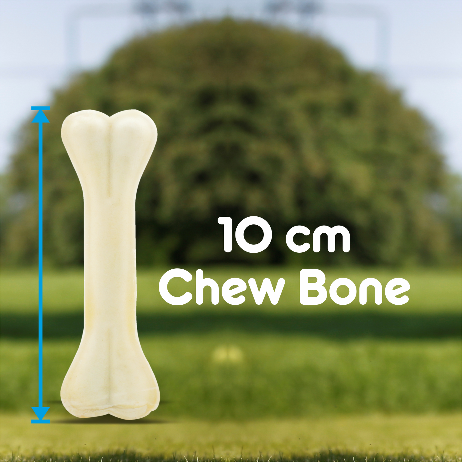 Purepet Chew Bone Dog Treats