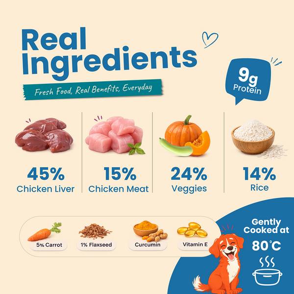 Nootie Nibblr Fresh Wholesome Ready to Eat Meal Daily Chicken Veggie And Rice Dog Wet Food