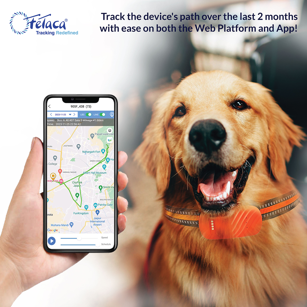 FeTaca Smart 4G GPS Tracker with Lifetime Free Tracking & 1 Year Data SIM Subscription for Dogs and Cats (Orange) Both-Collar, Leashes, harnesses FeTaca Dropship