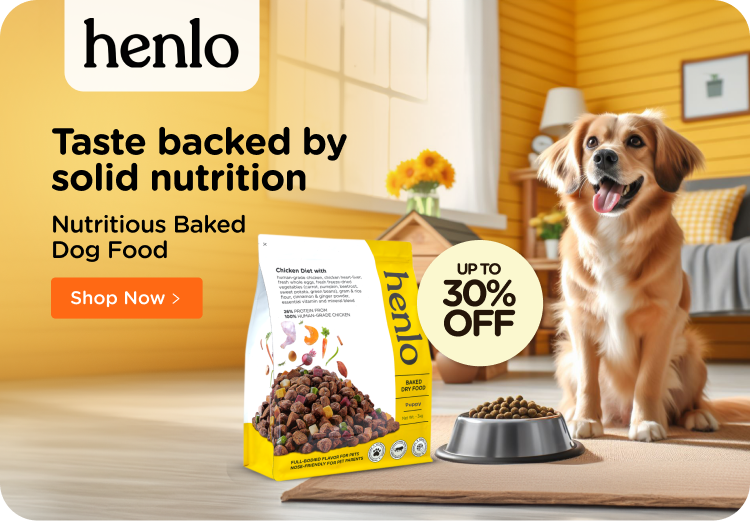 Stores to buy top dogs near me