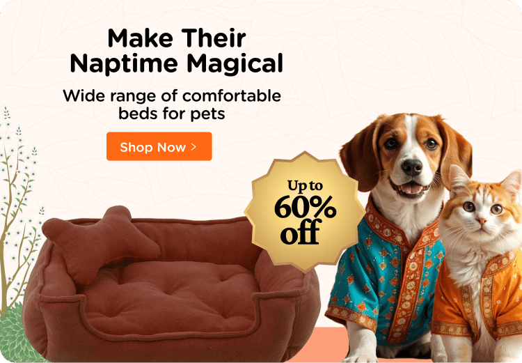 Dog stores near me now clearance