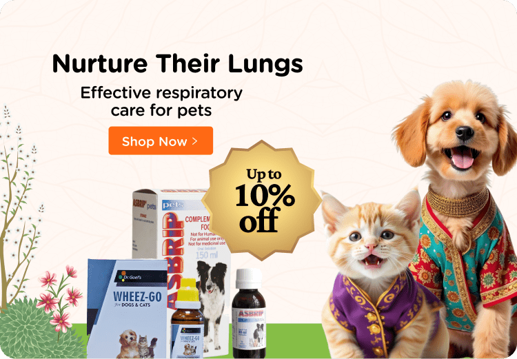 Dog stores near me now clearance