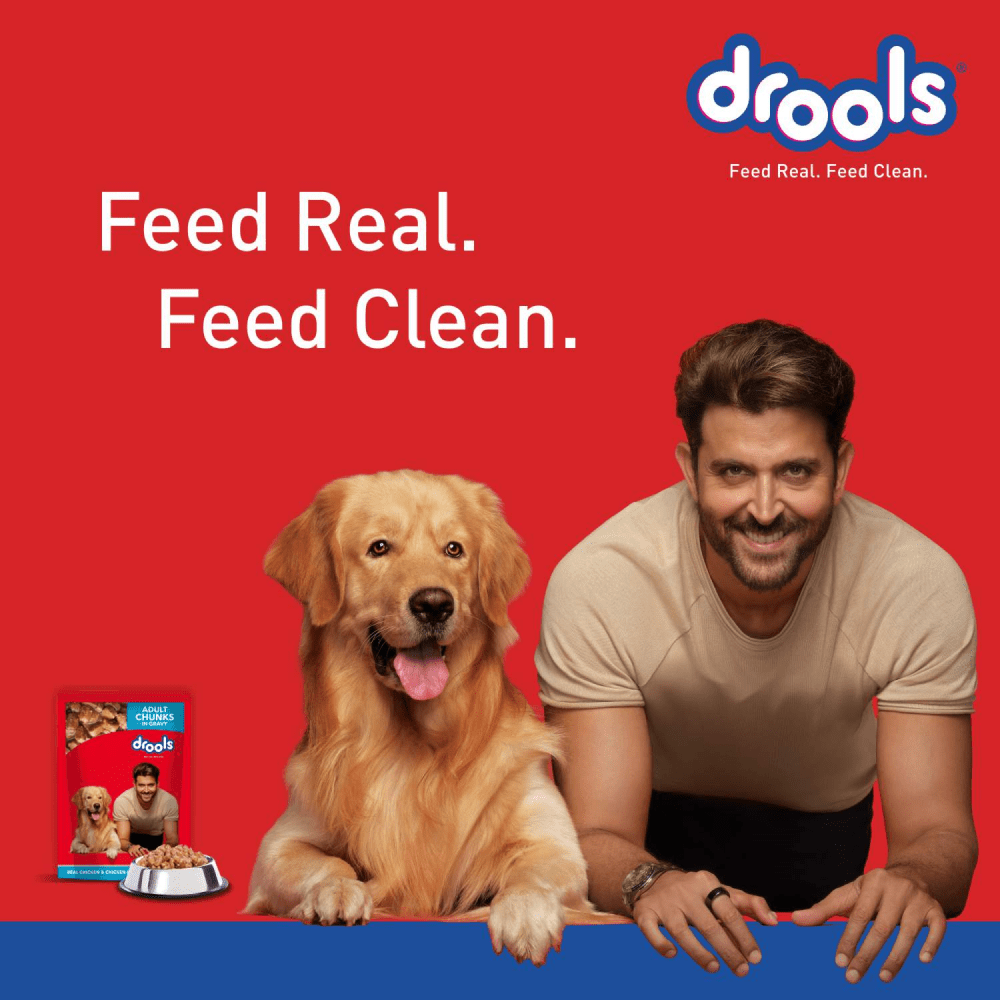 Drools Real Chicken & Chicken Liver Chunks in Gravy Adult Dog Wet Food and Dr.Dent Oral Care Stick Dog Treats Combo