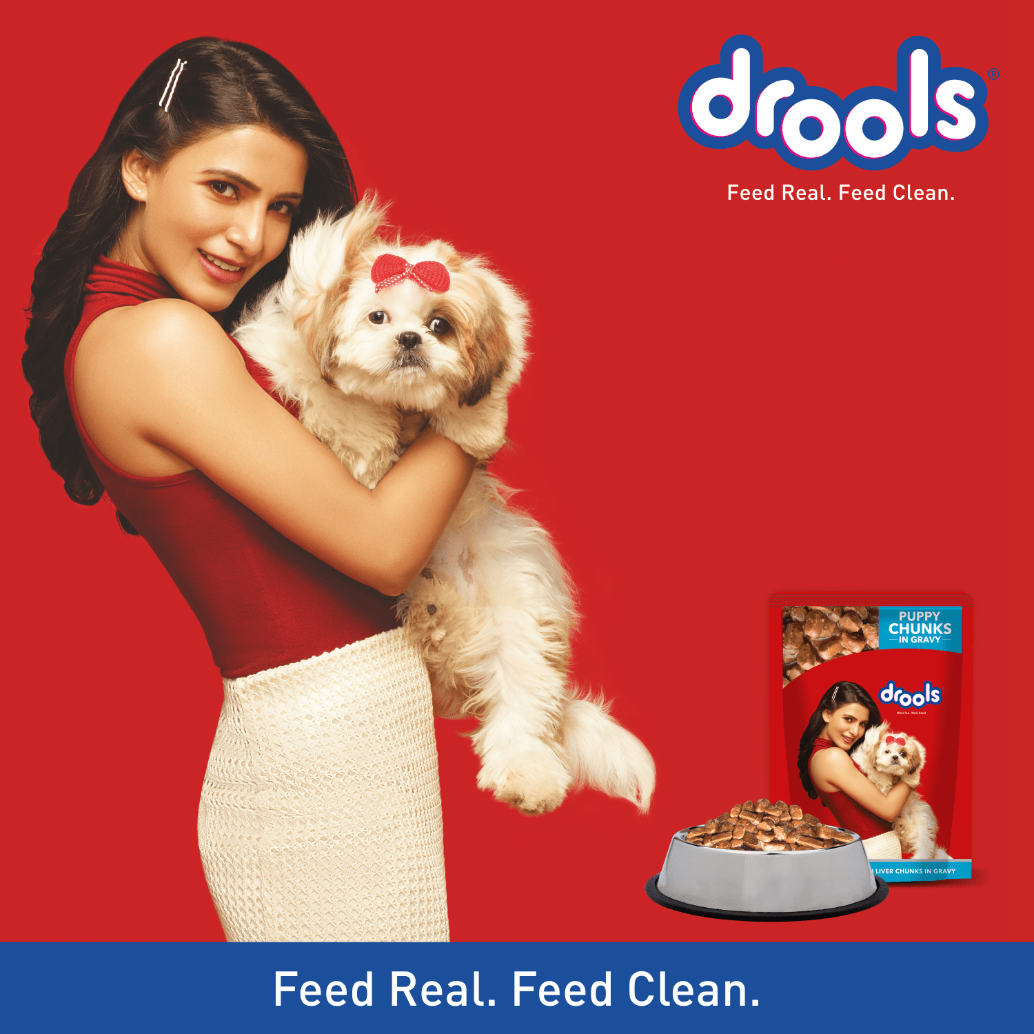 Drools Focus Super Premium Dry Food and Chicken & Chicken Liver Chunks in Gravy Puppy Dog Wet Food Combo Dogs- Dry Food Drools Focus