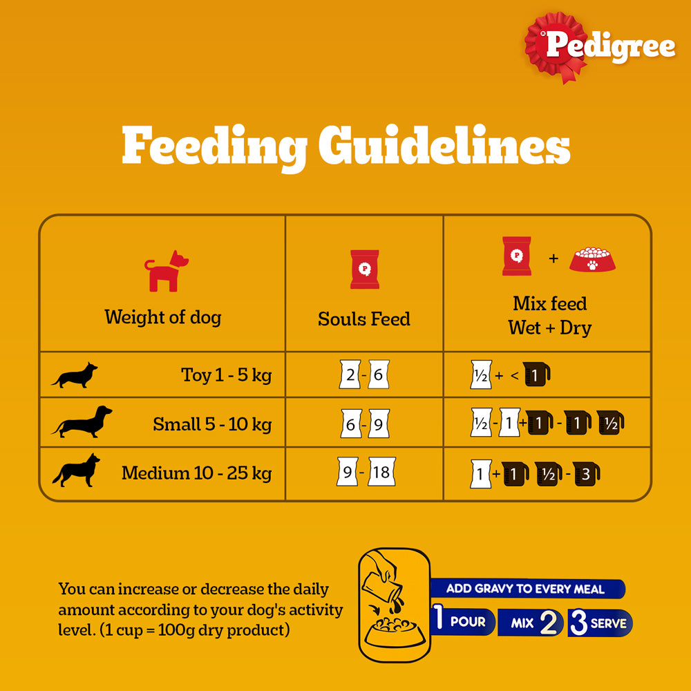 Pedigree Chicken and Liver Chunks in Gravy Adult Dog Wet Food (70g)