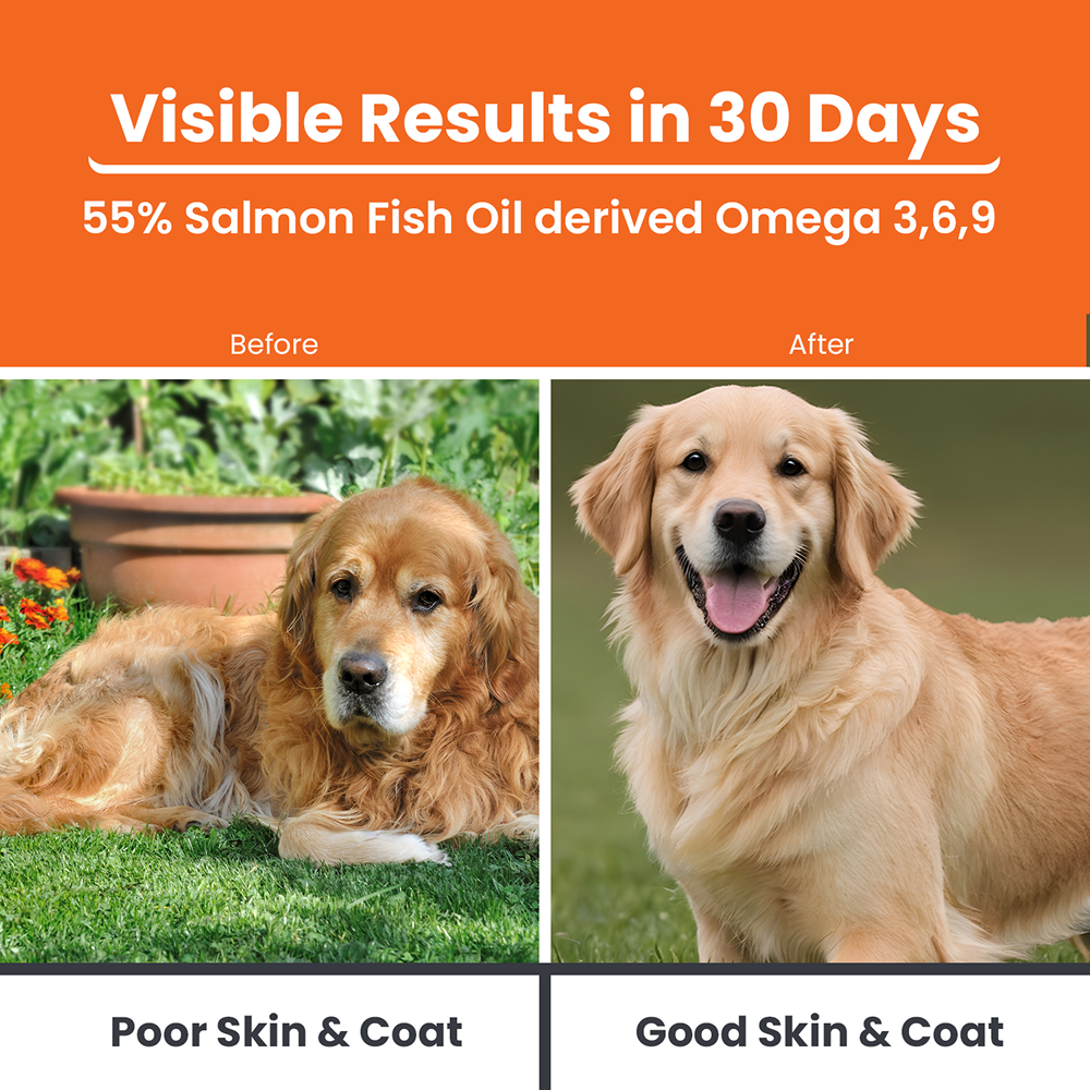 Lickicious Skin & Coat Syrup with Salmon Oil Omega 3 6 9 for Dogs & Cats Both-Health & Wellness Lickicious