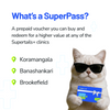 Supertails Clinic Limited Edition SuperPass Services - Vet Services