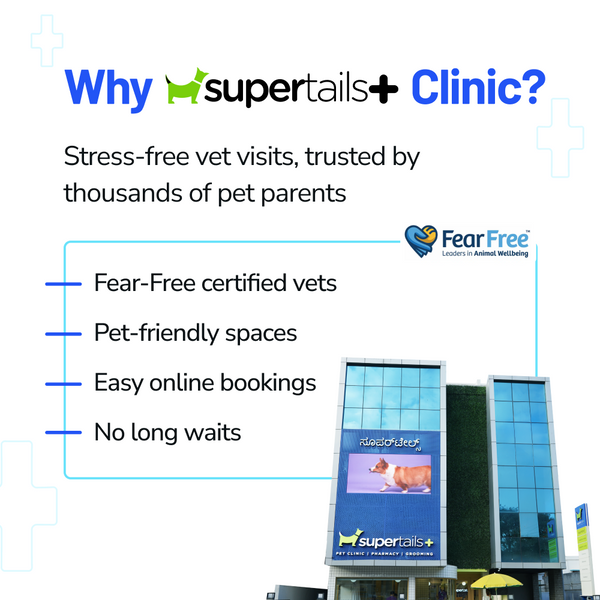 Supertails Clinic Limited Edition SuperPass