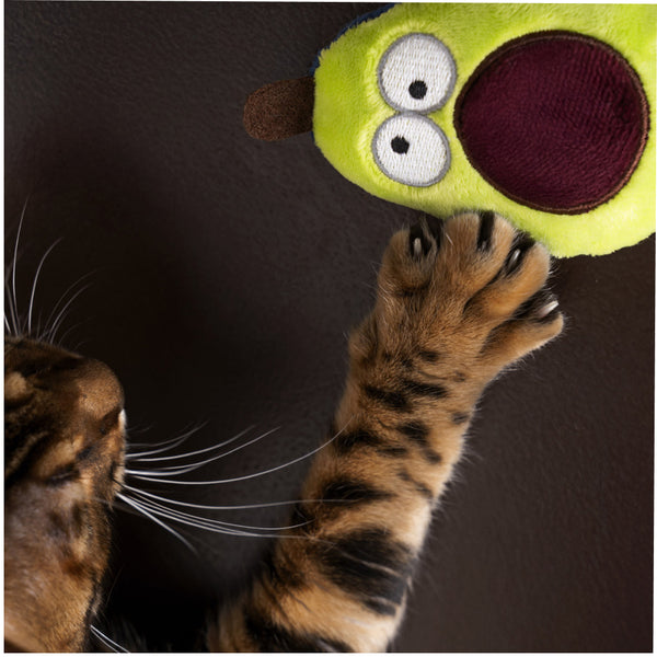 Joyser ECO Avocado Catnip Toy for Cats (Green/Brown)