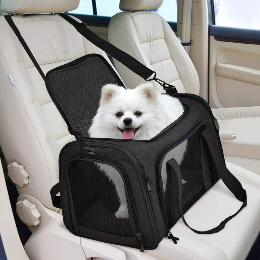 KUTKUT Soft Sided Airline Approved Foldable Travel Carrier for Small Dogs & Cat (Black) Both-Bedding, Mats & Travel Supplies KUTKUT Dropship