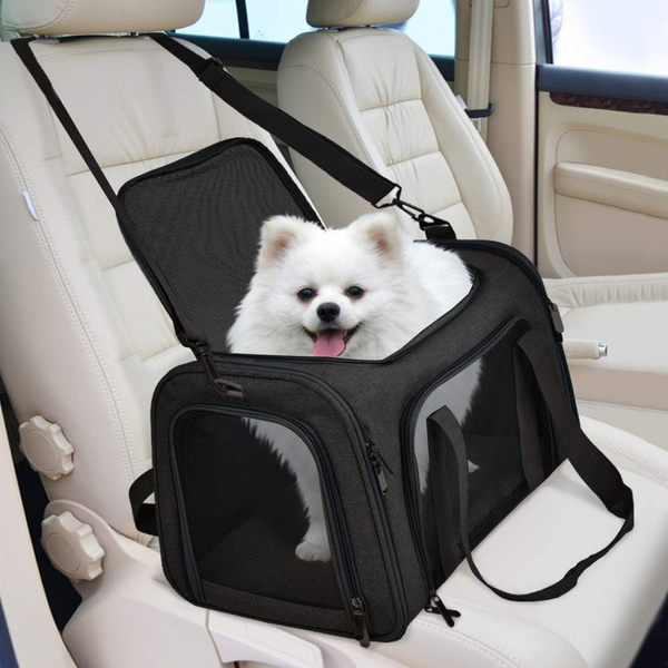 KUTKUT Soft Sided Airline Approved Foldable Travel Carrier for Small Dogs & Cat (Black)