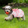 KUTKUT Cute Floral Pattern with Lovely Bow Dress for Small Dogs & Cats Both-Clothing & Accessories KUTKUT Dropship