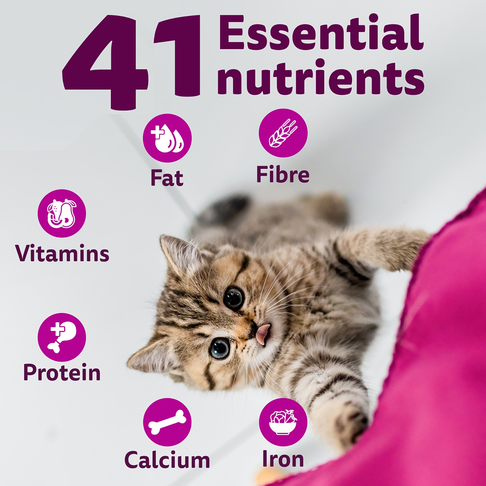 Whiskas Ocean Fish Kitten Cat Dry Food Cats- Dry food Whiskas