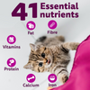 Whiskas Ocean Fish Kitten Cat Dry Food Cats- Dry food Whiskas
