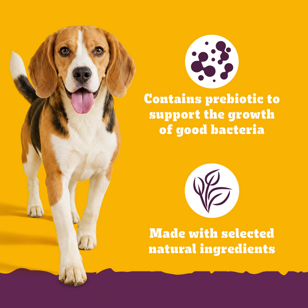 Pedigree New Healthy Belly Adult Dog Dry Food