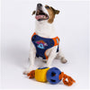 Joyser Cageball Rubber Ball with Robot for Dogs (Yellow/Blue) Dogs-Toys Joyser