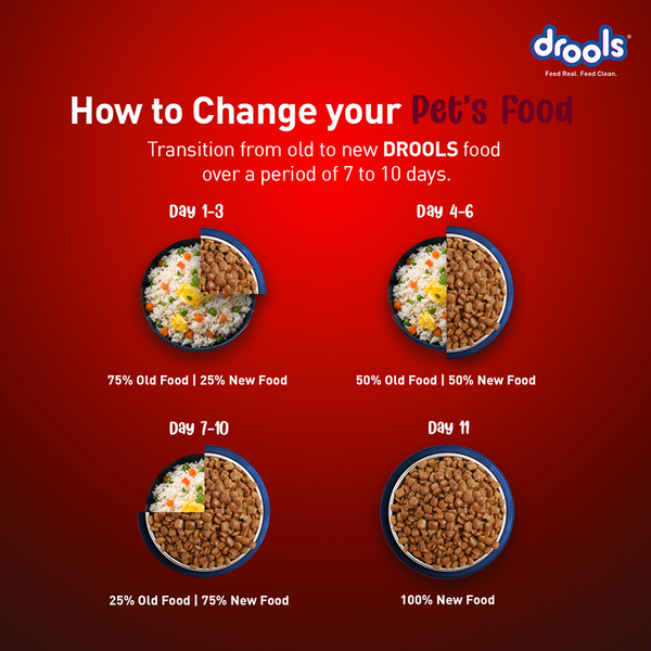 Drools Lamb and Rice Adult Dog Dry Food