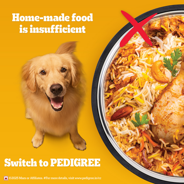 Pedigree Chicken Biryani Flavour Adult Dog Dry Food