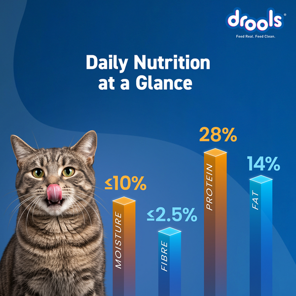 Drools Mackerel Adult Cat Dry Food