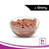 Whiskas Tuna in Jelly Meal and Ocean Fish Adult Cat Wet Food Combo Exclusive Combo Whiskas
