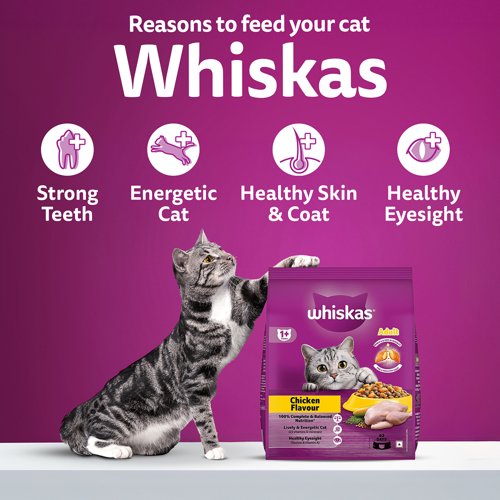 Whiskas Chicken Flavour Cat (Adult 1+) Dry Food Cats- Dry food Whiskas