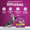 Whiskas Chicken Flavour Cat (Adult 1+) Dry Food Cats- Dry food Whiskas