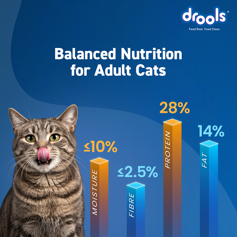 Drools Ocean Fish Adult Cat Dry Food Cats- Dry food Drools