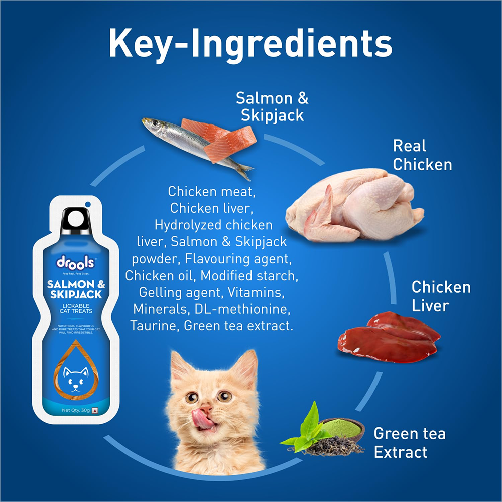 Drools Salmon & Skipjack Creamy Lickable Cat Treats Cats-Treats & Others Drools