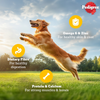 Pedigree Chicken and Liver Chunks in Gravy Adult Dog Wet Food (130g) Dogs-Wet Food Pedigree