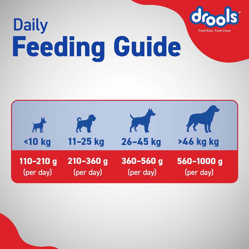 Drools Optimum Performance Adult Dog Dry Food Dogs- Dry Food Drools