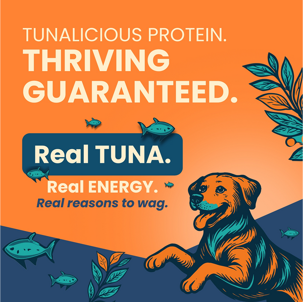 Bark Out Loud Thrive Tuna Flavour Adult Dog Dry Food