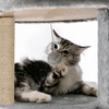 Furrlovers Multi-Level Cat Tree Tower with Scratching Posts, Hammock & Condo (Grey) Cats-Toys Furrlovers Dropship