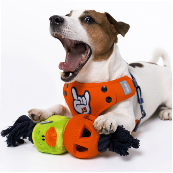 Joyser Cageball Rubber Ball with Duck for Dogs (Yellow/Blue)