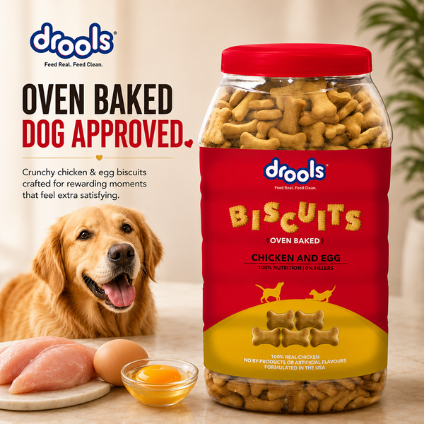 Drools Chicken and Egg Biscuit Dog Treats