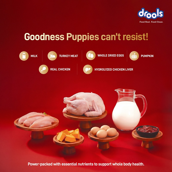 Drools Meat and Milk Puppy Dog Dry Food