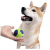 Joyser Netrix Ball for Dogs (Green/White) Dogs-Toys Joyser