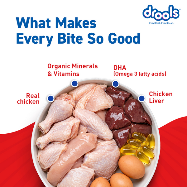 Drools Real Chicken & Chicken Liver Chunks in Gravy Puppy Dog Wet Food