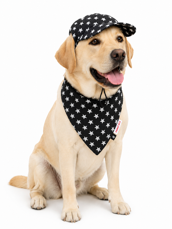 Pawgypets Star Denim Cap and Bandana Set for Dogs and Cats (Black)