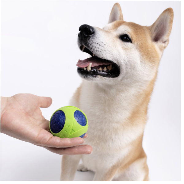 Joyser Netrix Ball for Dogs (Green/White)