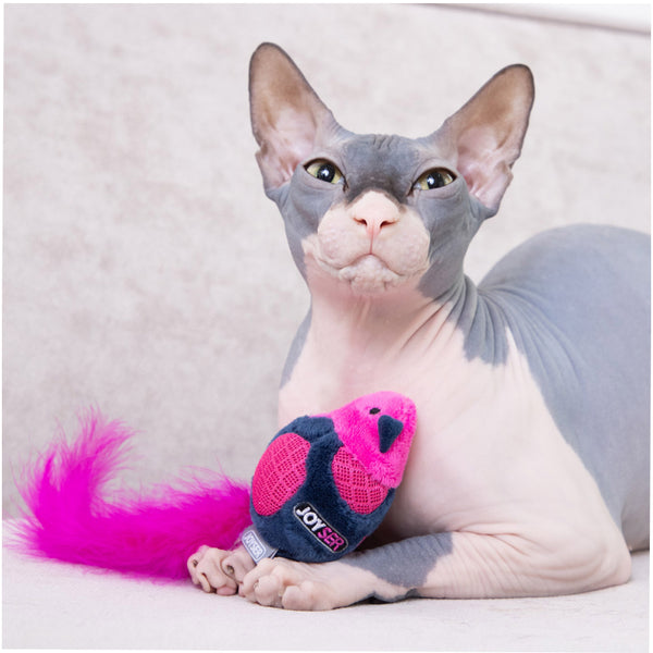 Joyser Cat Bird Toy with Feather & Sound for Cats (Pink/Blue)