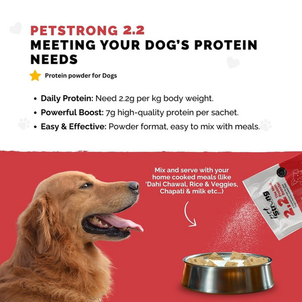 PetStrong 2.2  Meal Protein Booster for Dogs (10g)