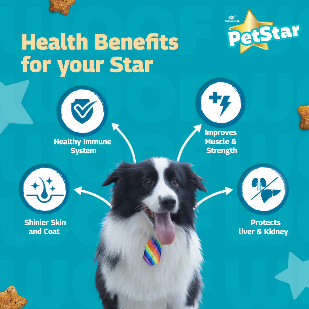 Mankind Petstar Chicken and Wheat Adult Dog Dry Food Dogs- Dry Food Petstar