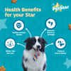 Mankind Petstar Chicken and Wheat Adult Dog Dry Food Dogs- Dry Food Petstar