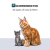 Moe Puppy Cleansing & Conditioning Foam Shampoo for Cats Cats-Grooming Supplies Moe