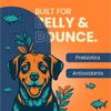Bark Out Loud Thrive Tuna Flavour Adult Dog Dry Food Dogs- Dry Food Bark Out Loud Thrive