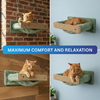 Furrlovers Wall Mounted Perch with Scratching Post & Plush Cushion for Cats (Green) Cats-Toys Furrlovers Dropship